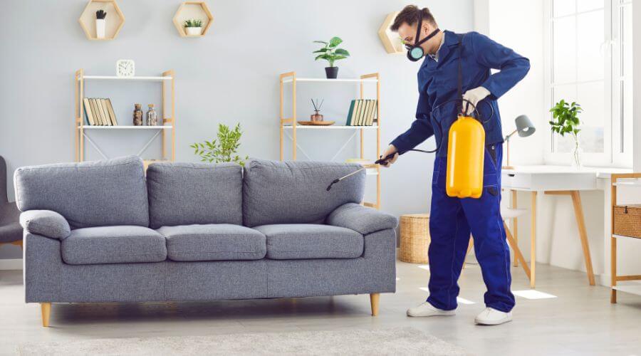 Why choose Termite Inspection Mitchell Park West for termite inspection in Mitchell Park West